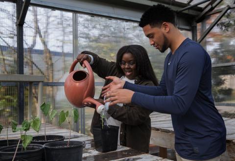 Chalisa Thompson and Chase Williams water a bean plant during a class that merges environmental science with sociology at Highline College in Des Moines on Tuesday. “Umoja is really there to show you that... (Ellen M. Banner / The Seattle Times)
